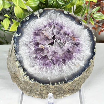 Amethyst Crystal Geode - Gem Avenue Retail