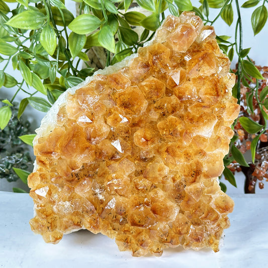 Citrine Crystal Geode - Gem Avenue Retail