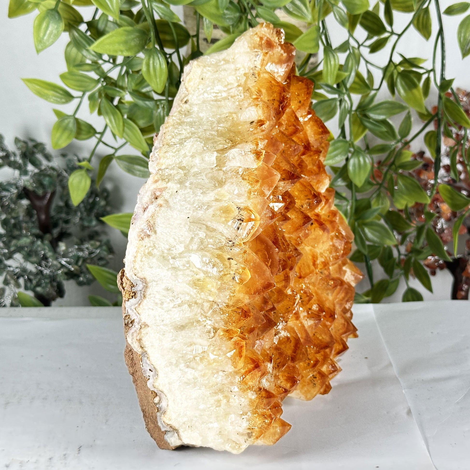 Citrine Crystal Geode - Gem Avenue Retail