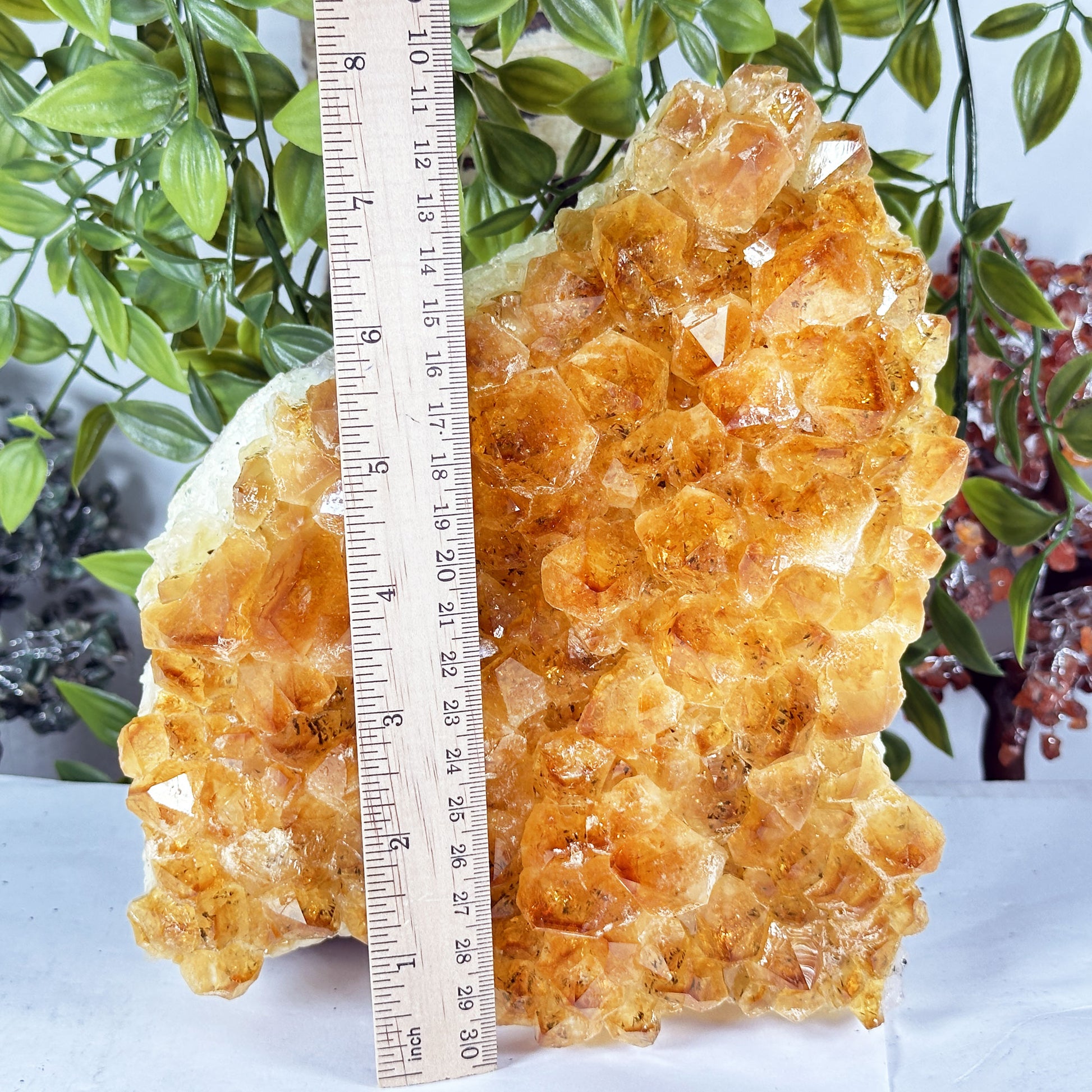 Citrine Crystal Geode - Gem Avenue Retail
