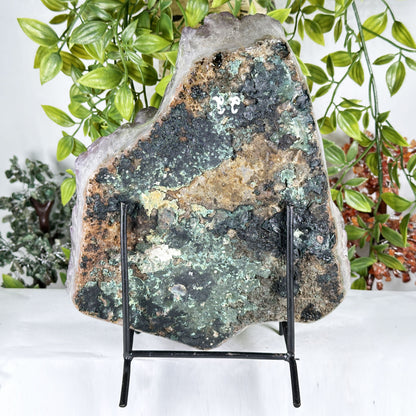 Amethyst Crystal Geode - Gem Avenue Retail