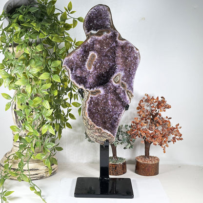 Amethyst Crystal Geode - Gem Avenue  Retail
