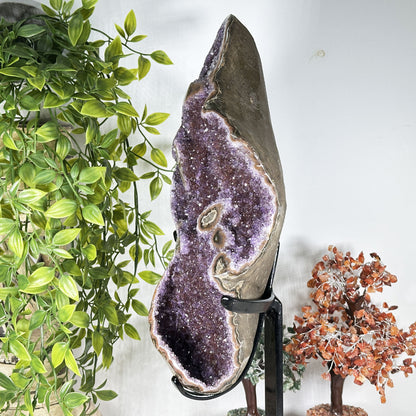 Amethyst Crystal Geode - Gem Avenue  Retail