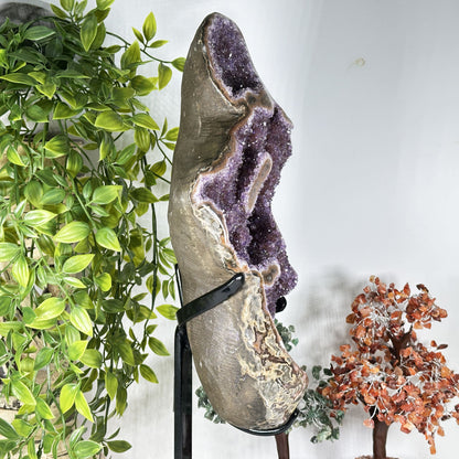 Amethyst Crystal Geode - Gem Avenue  Retail