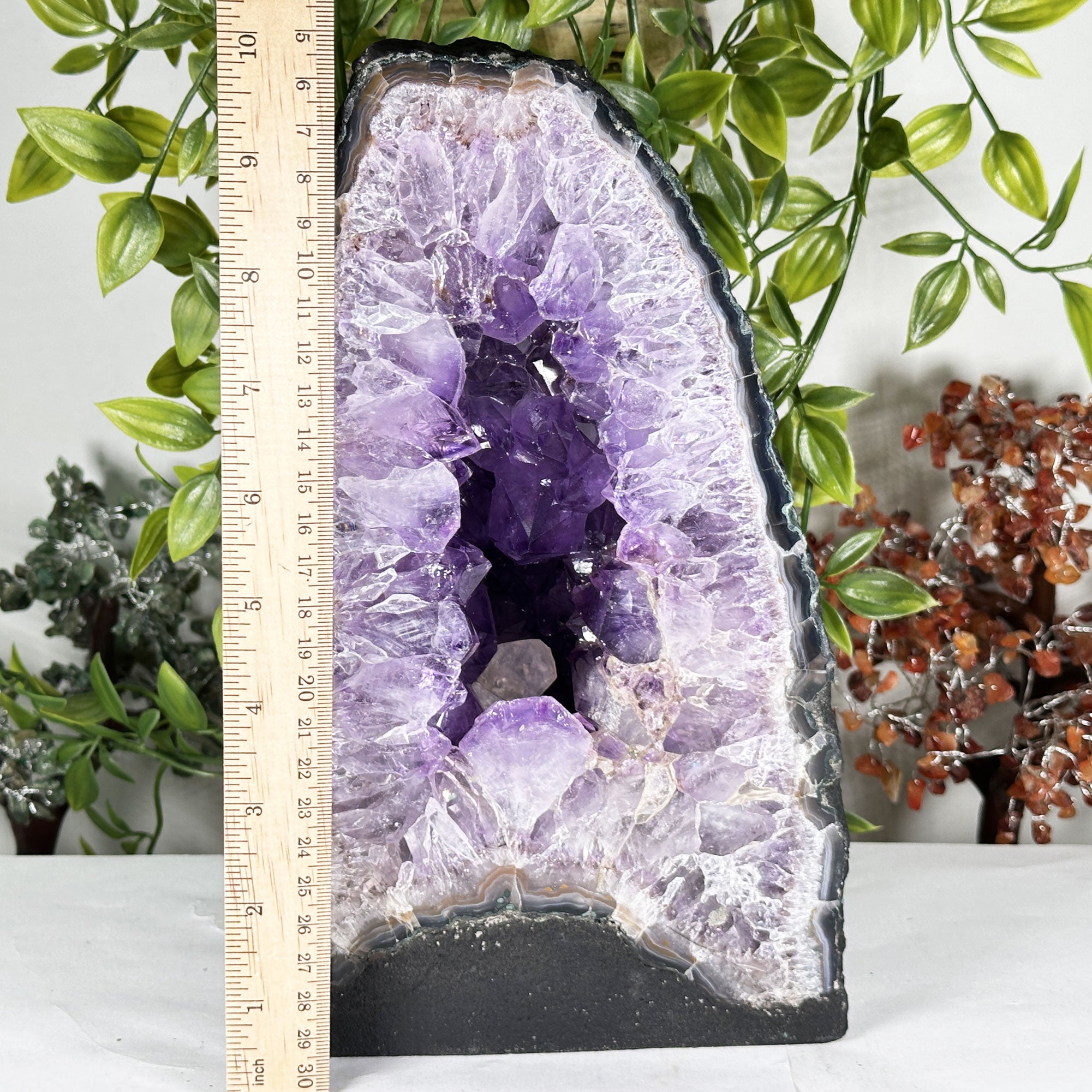 デラウェア(アメジスト) Amethyst Geode Crystal Cluster Natural Specimen Gemstone RGD929