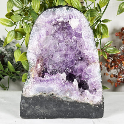 Amethyst Crystal Geode - Gem Avenue Retail