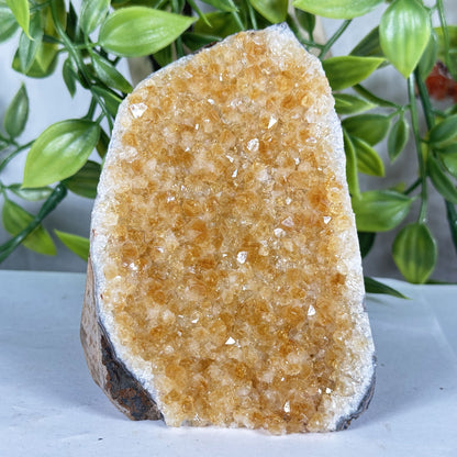 Natural Citrine Geode 4" Crystal Cluster Druzy Display Specimen
