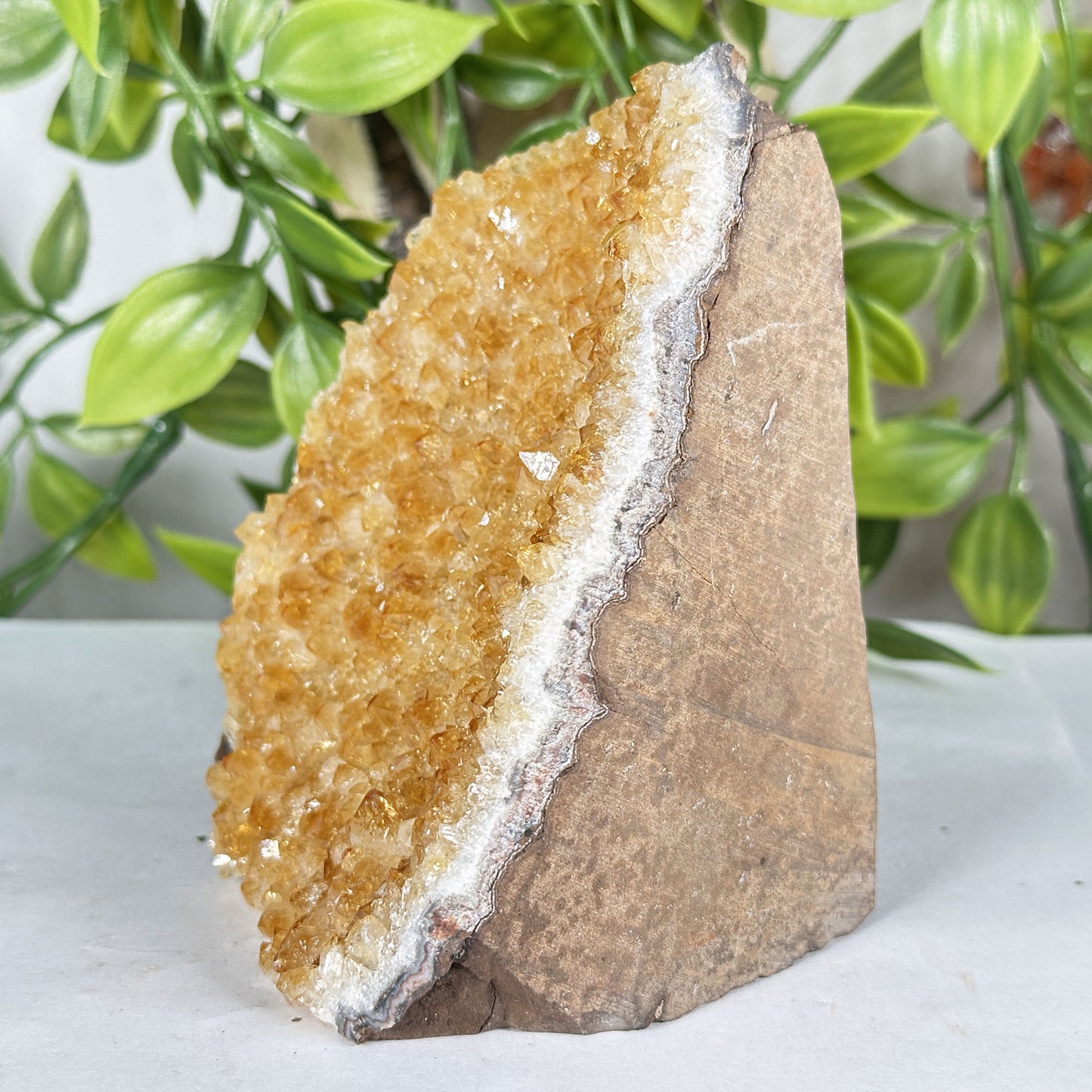 Natural Citrine Geode 4" Crystal Cluster Druzy Display Specimen