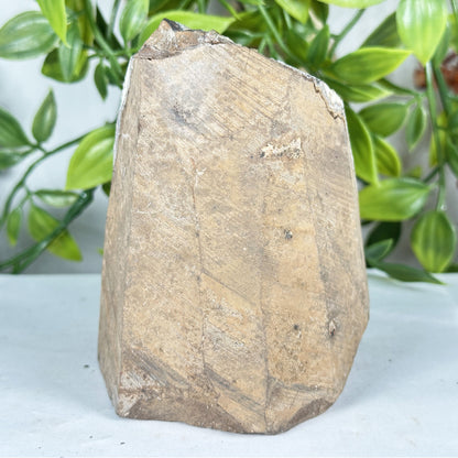 Natural Citrine Geode 4" Crystal Cluster Druzy Display Specimen