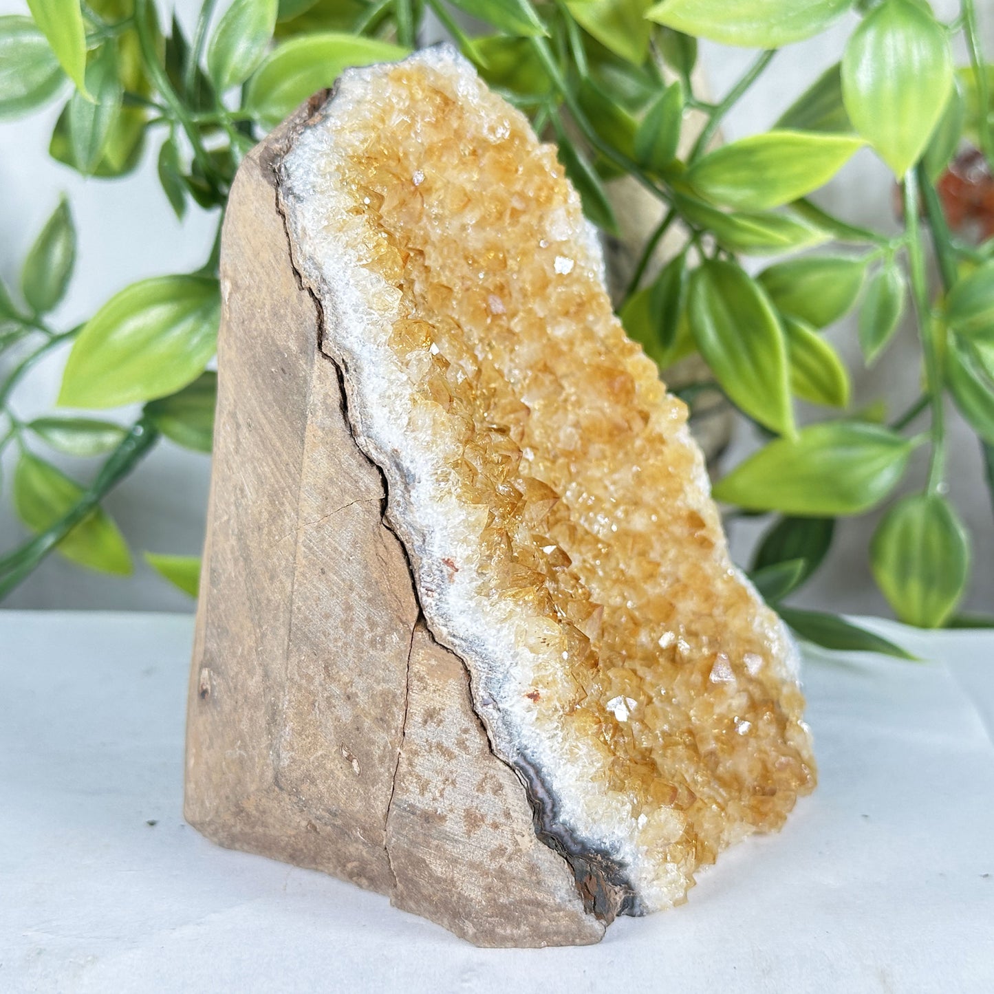 Natural Citrine Geode 4" Crystal Cluster Druzy Display Specimen