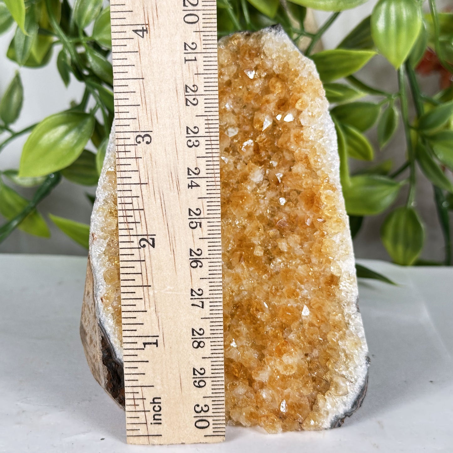 Natural Citrine Geode 4" Crystal Cluster Druzy Display Specimen