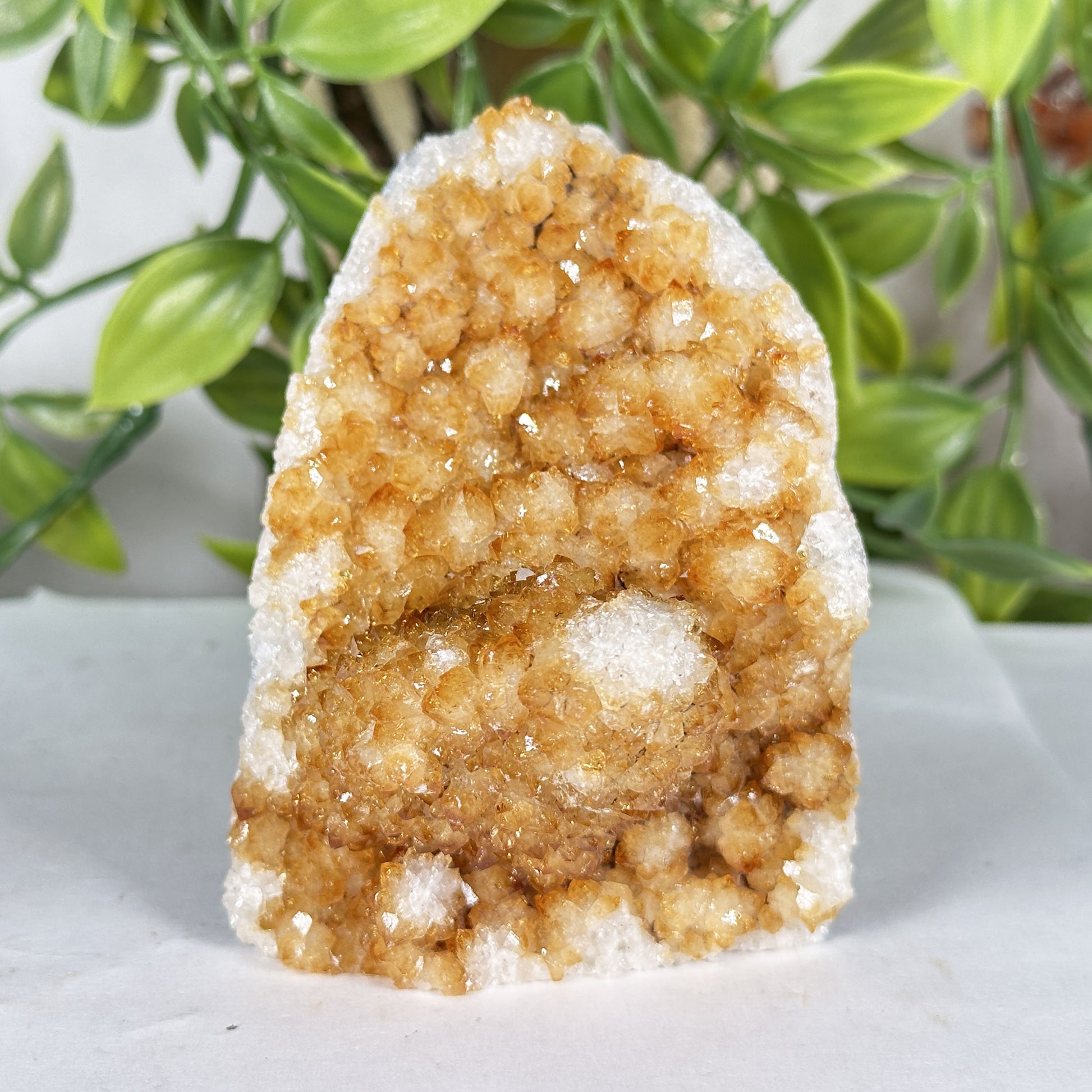 Citrine Crystal Geode - Gem Avenue Retail