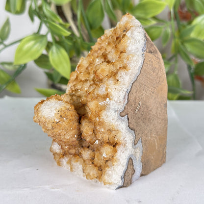 Citrine Crystal Geode - Gem Avenue Retail