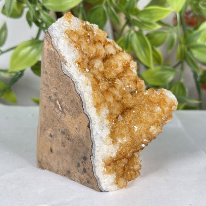 Citrine Crystal Geode - Gem Avenue Retail