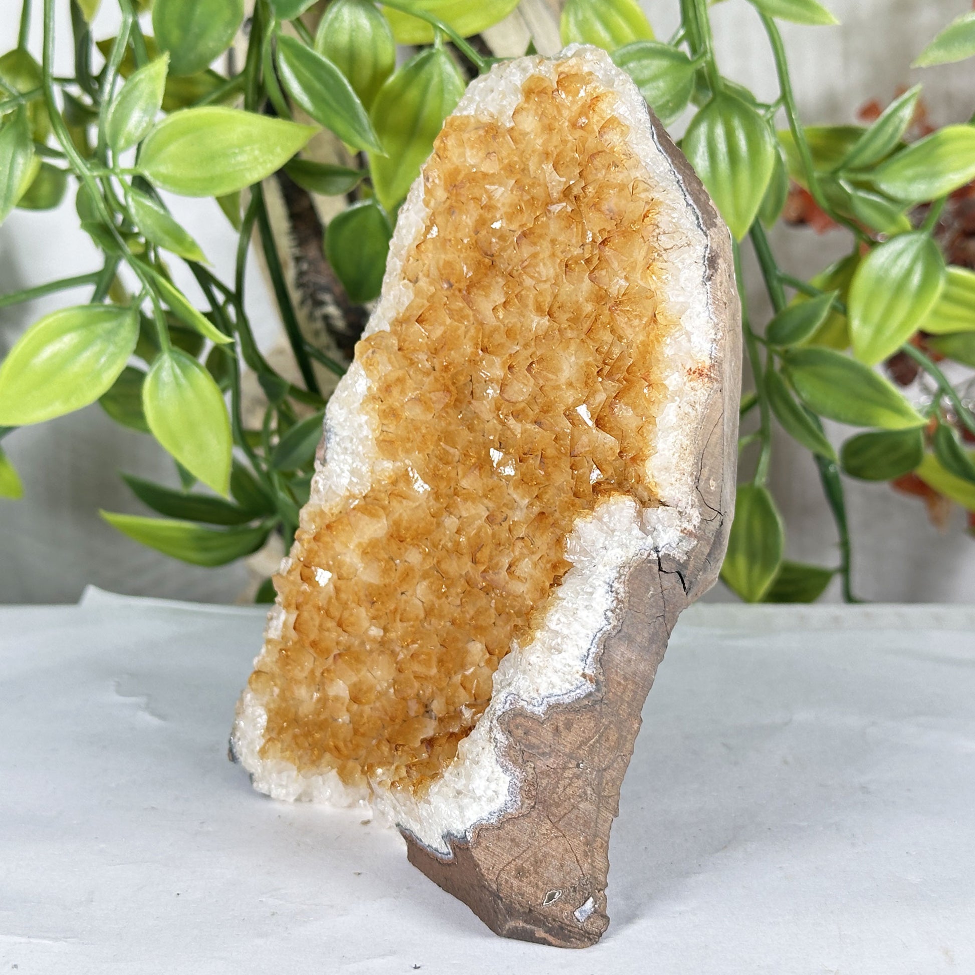 Citrine Crystal Geode - Gem Avenue Retail
