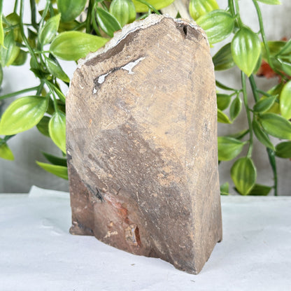 Citrine Crystal Geode - Gem Avenue Retail