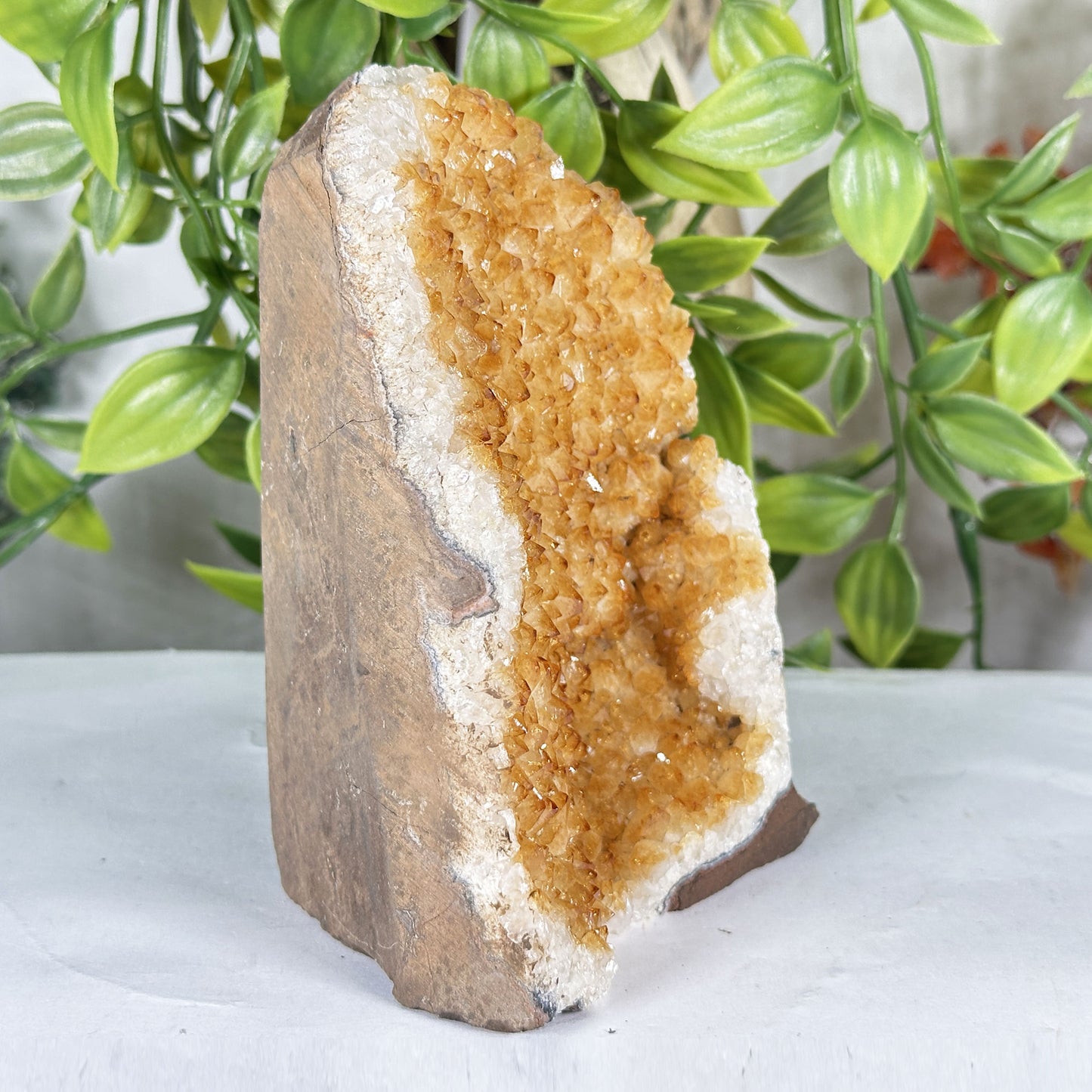 Citrine Crystal Geode - Gem Avenue Retail