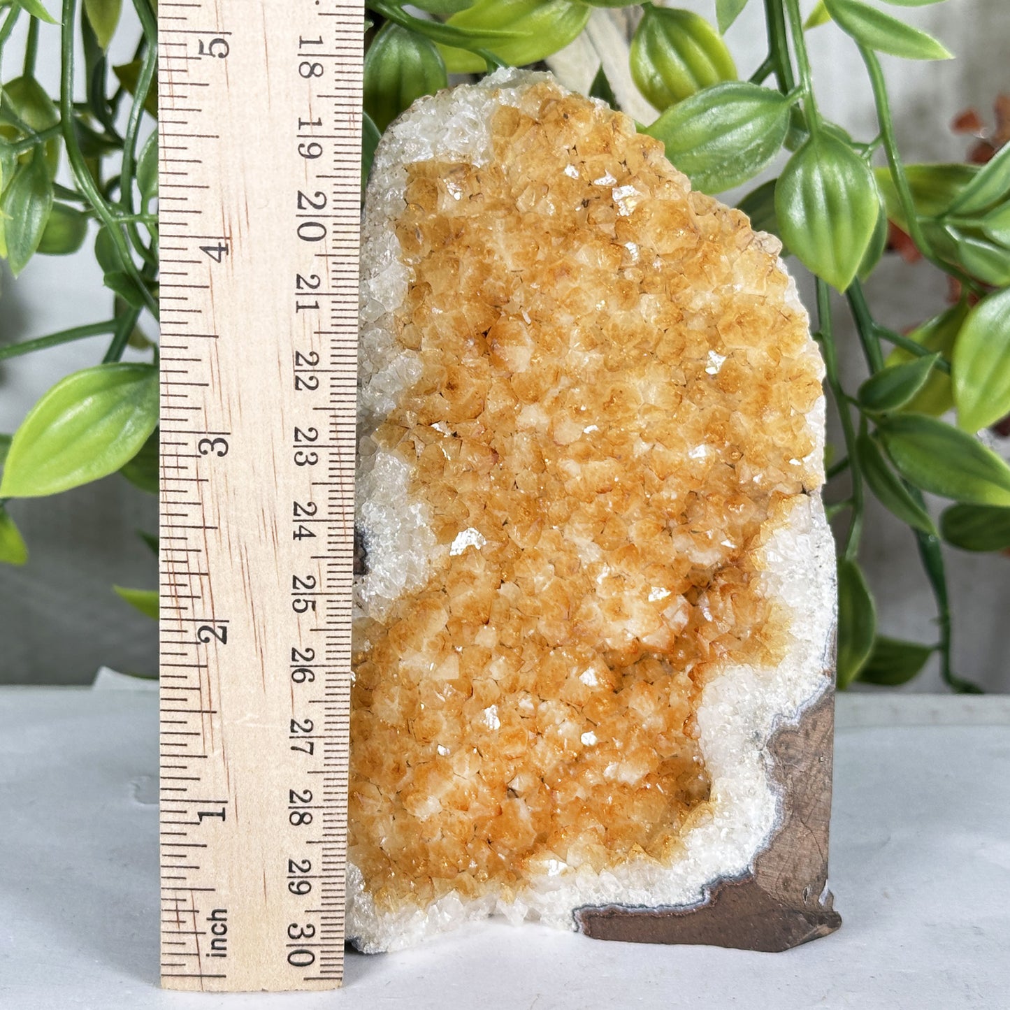 Citrine Crystal Geode - Gem Avenue Retail