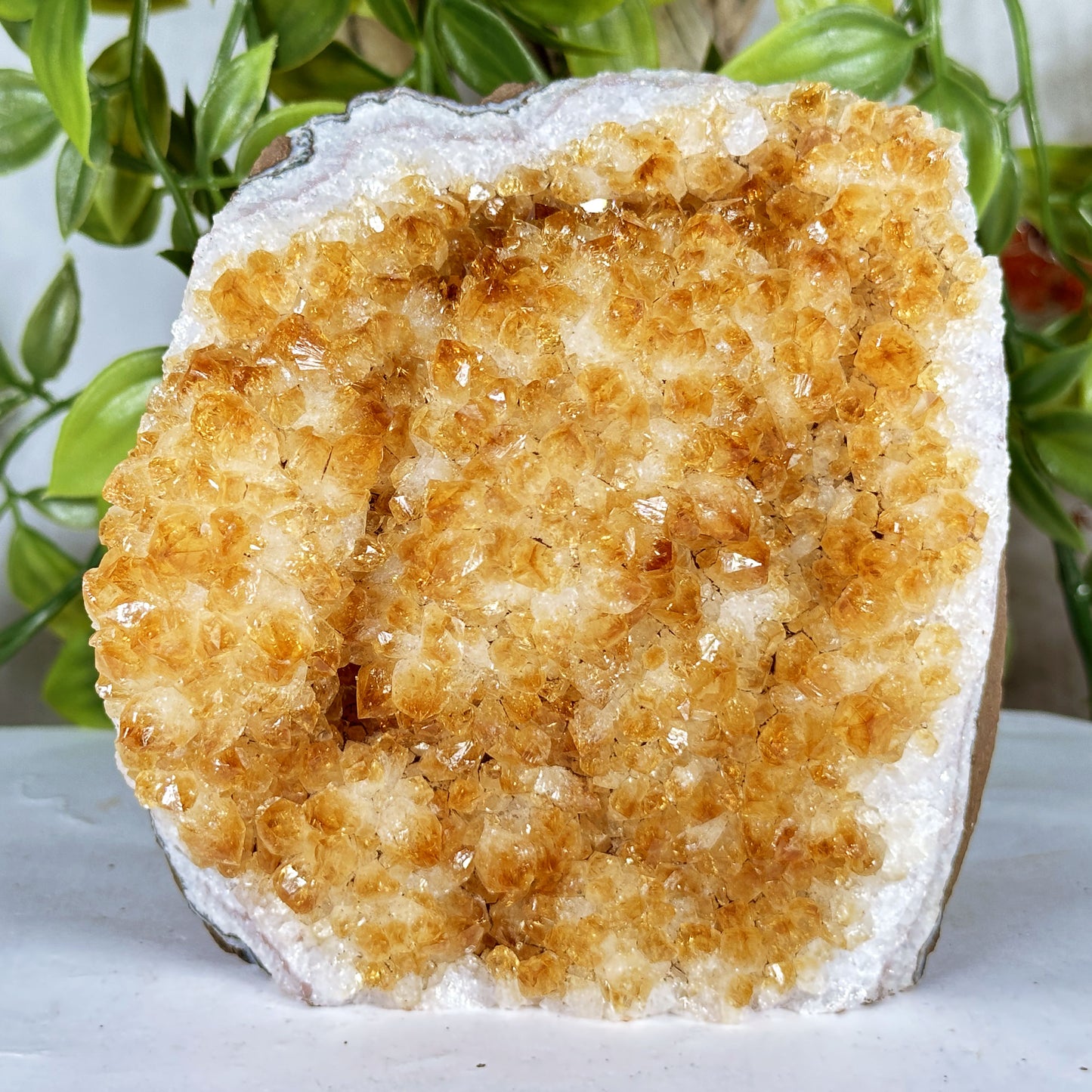 Citrine Crystal Geode - Gem Avenue Retail