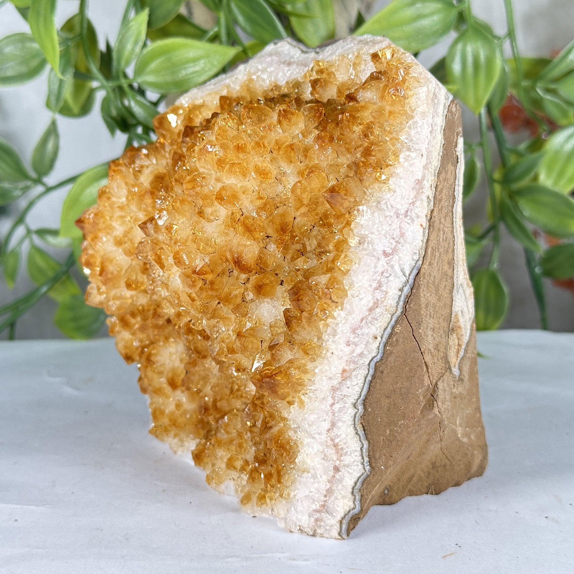 Citrine Crystal Geode - Gem Avenue Retail