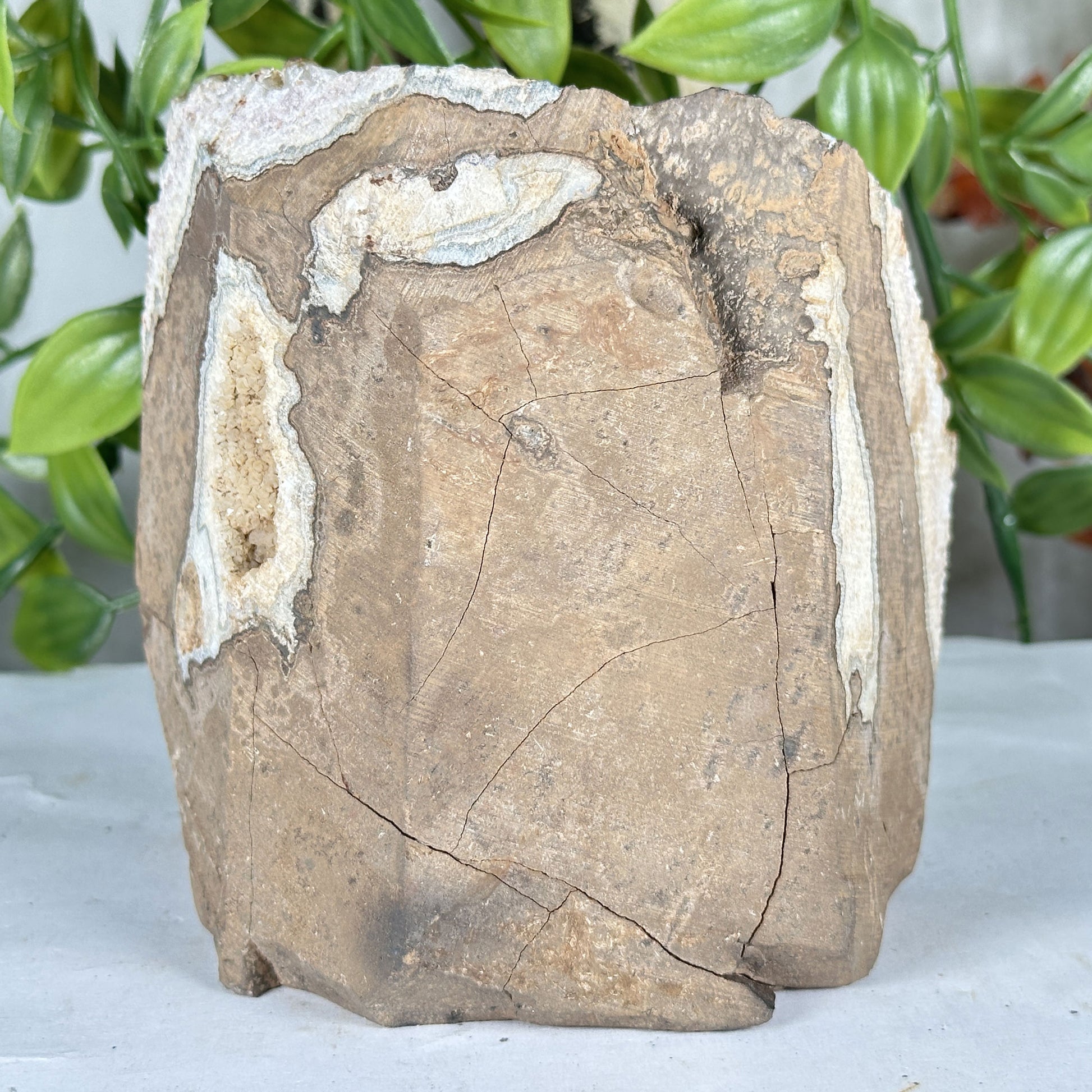 Citrine Crystal Geode - Gem Avenue Retail