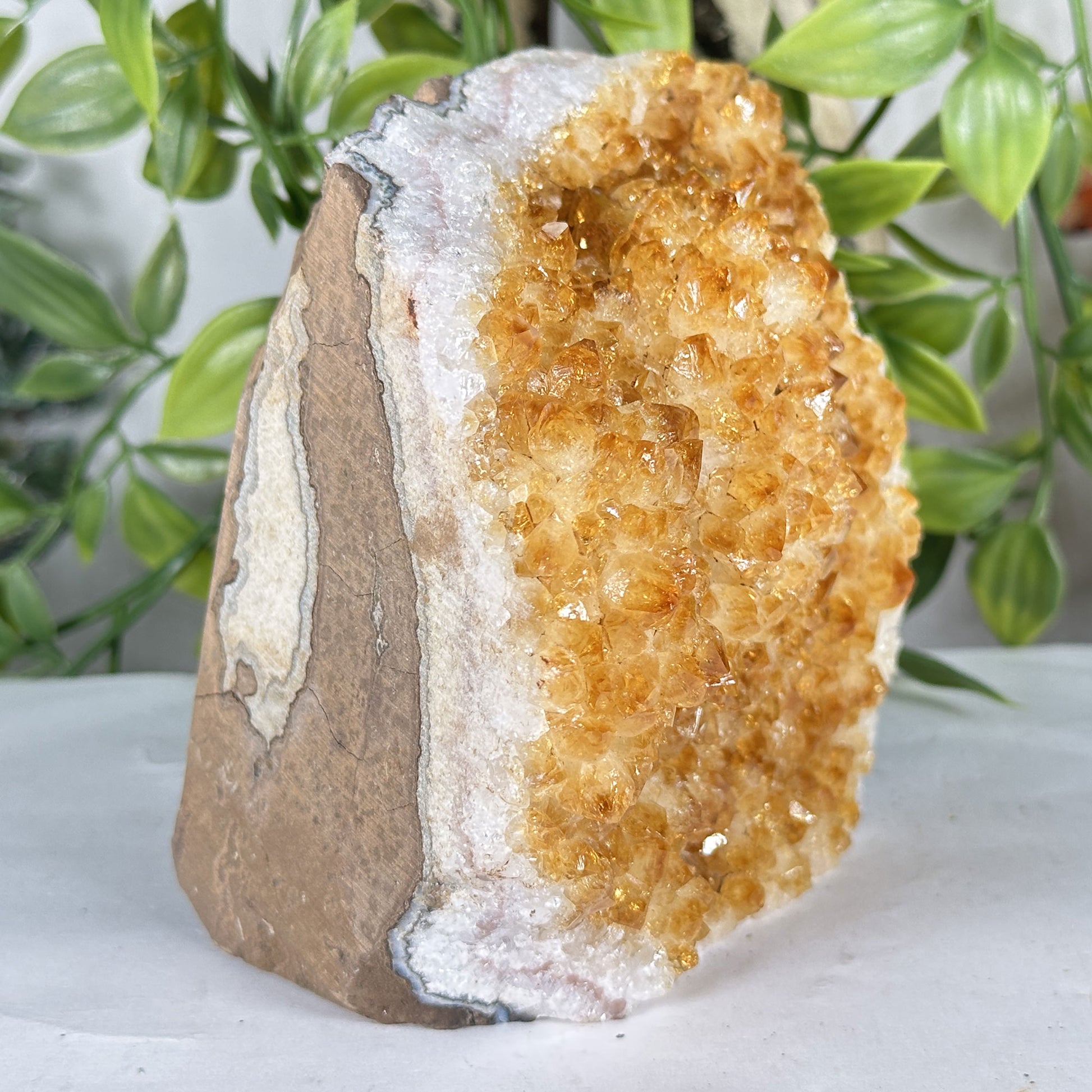 Citrine Crystal Geode - Gem Avenue Retail