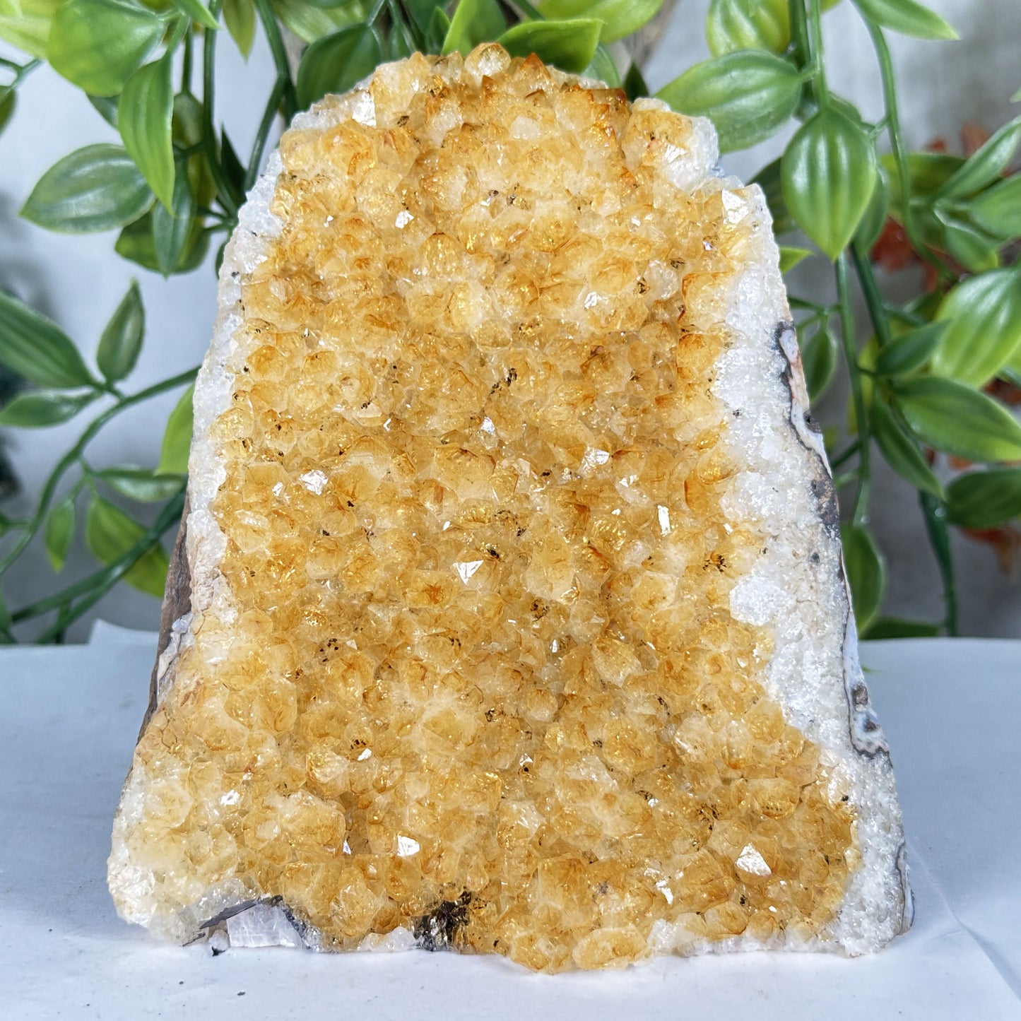 Citrine Crystal Geode - Gem Avenue Retail