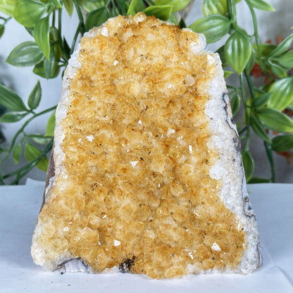 Citrine Crystal Geode - Gem Avenue Retail