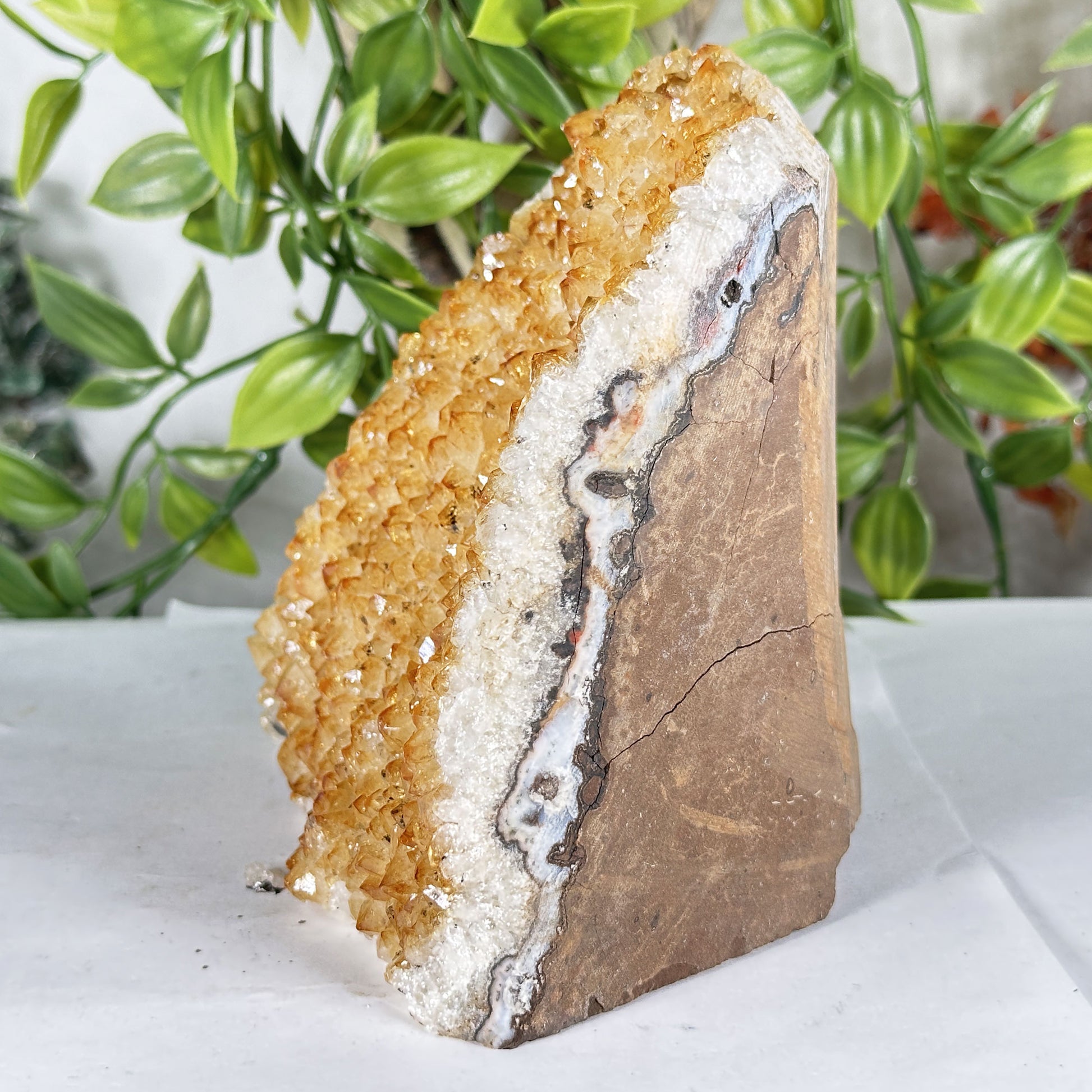 Citrine Crystal Geode - Gem Avenue Retail