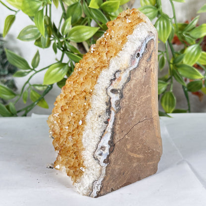 Citrine Crystal Geode - Gem Avenue Retail