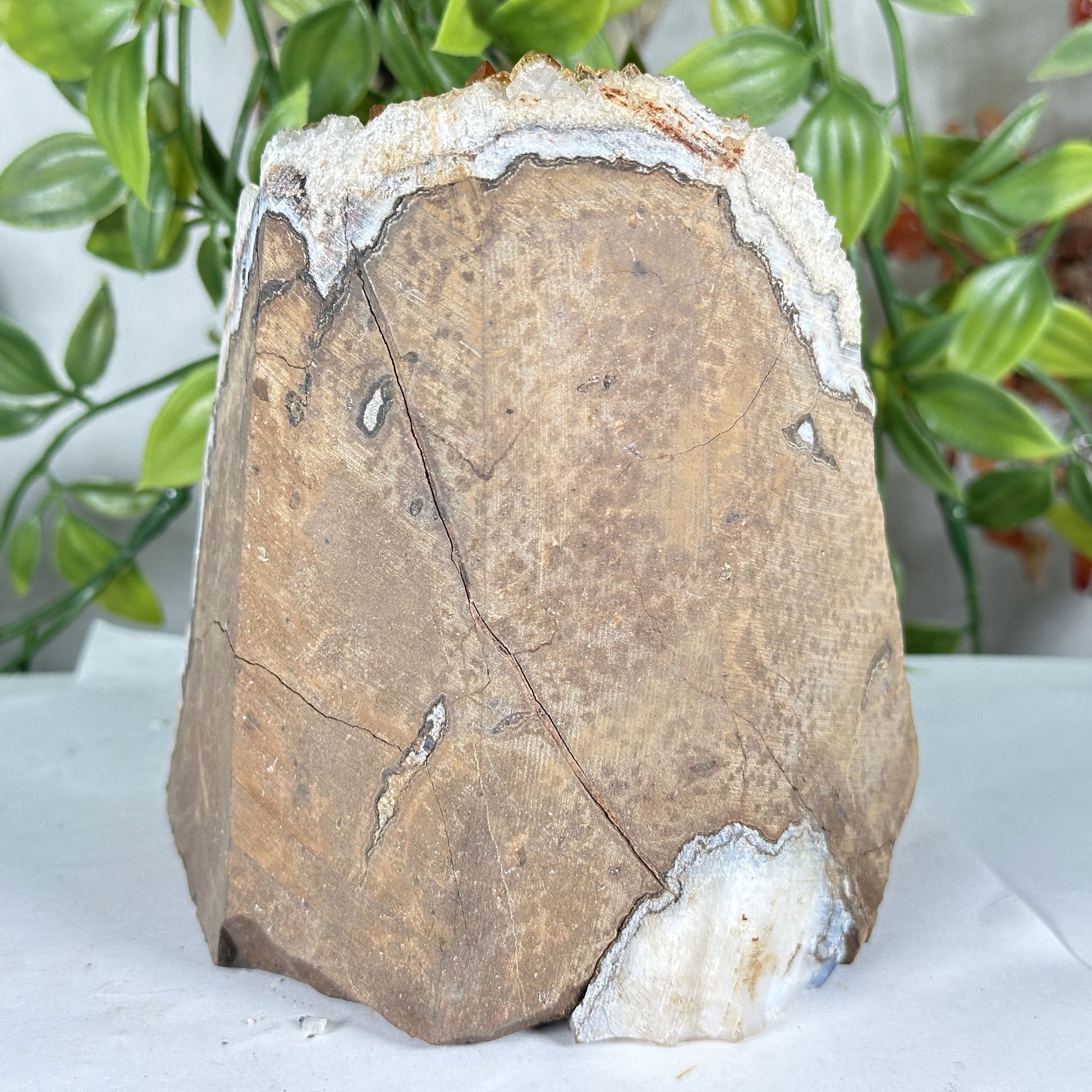 Citrine Crystal Geode - Gem Avenue Retail