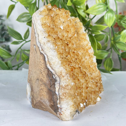 Citrine Crystal Geode - Gem Avenue Retail