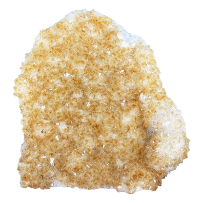 Citrine Crystal Geode - Gem Avenue Retail