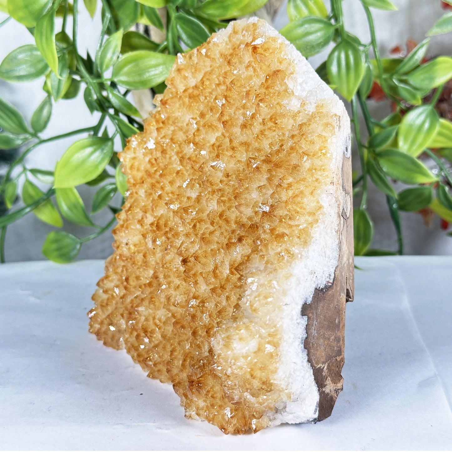 Citrine Crystal Geode - Gem Avenue Retail