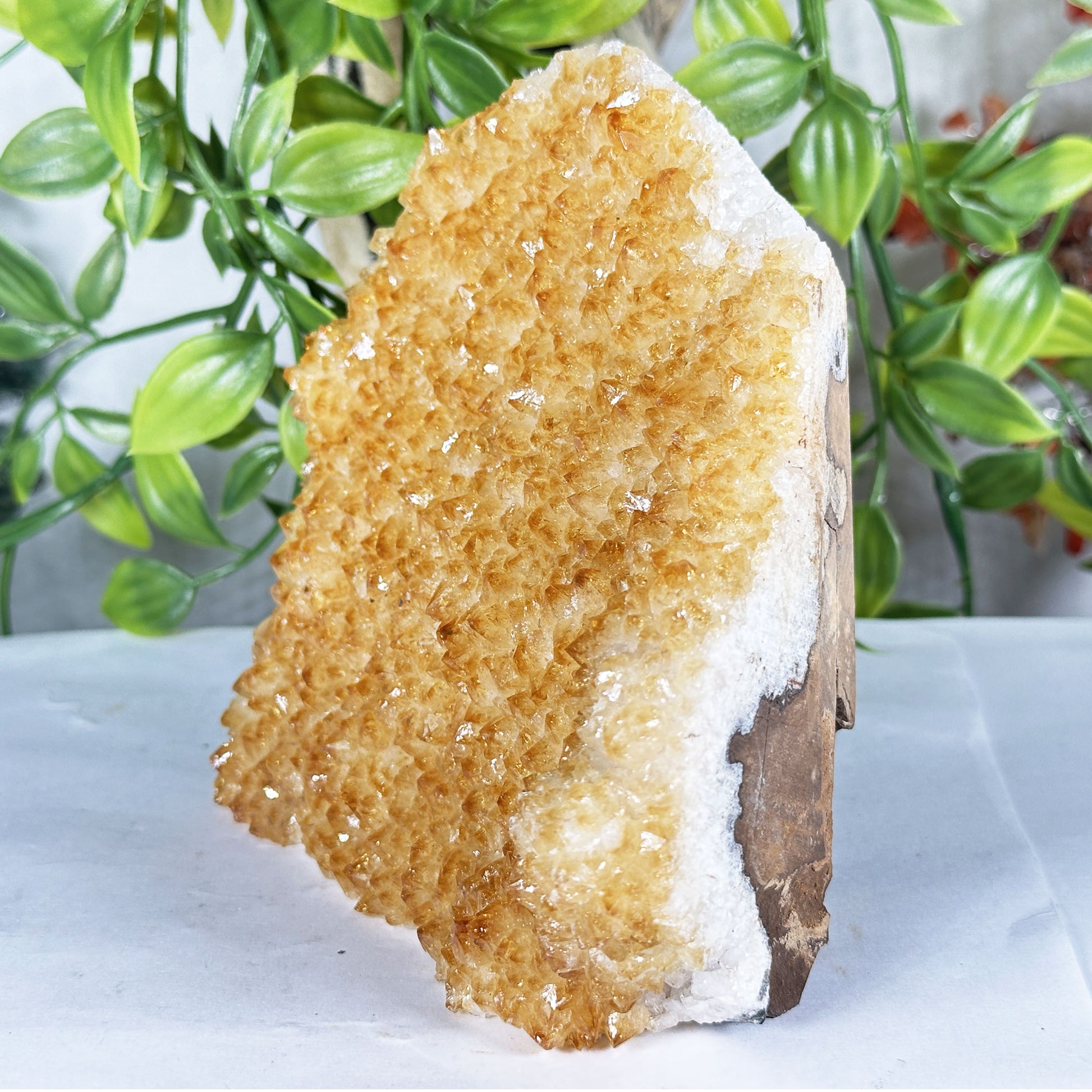 Citrine Crystal Geode - Gem Avenue Retail