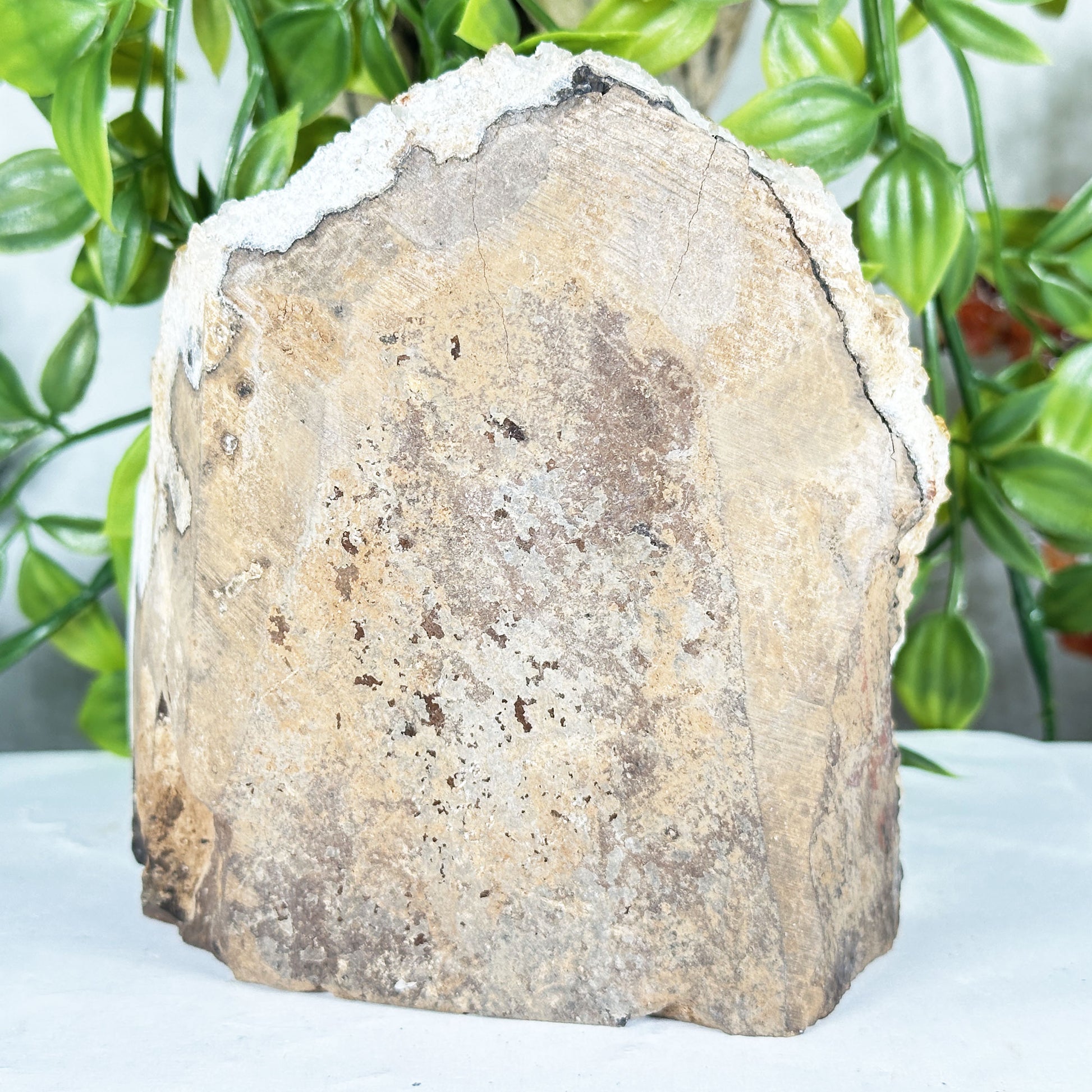 Citrine Crystal Geode - Gem Avenue Retail