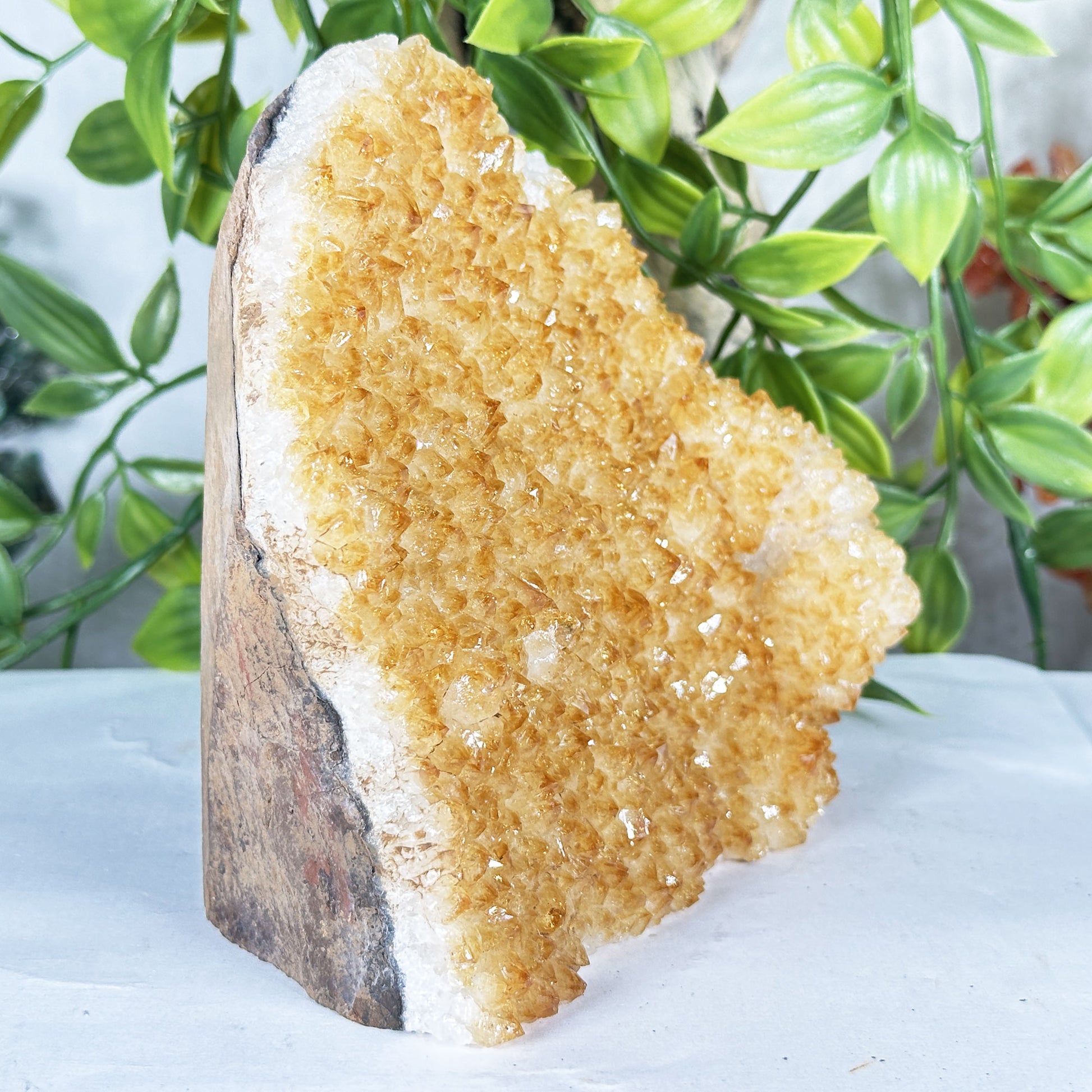 Citrine Crystal Geode - Gem Avenue Retail