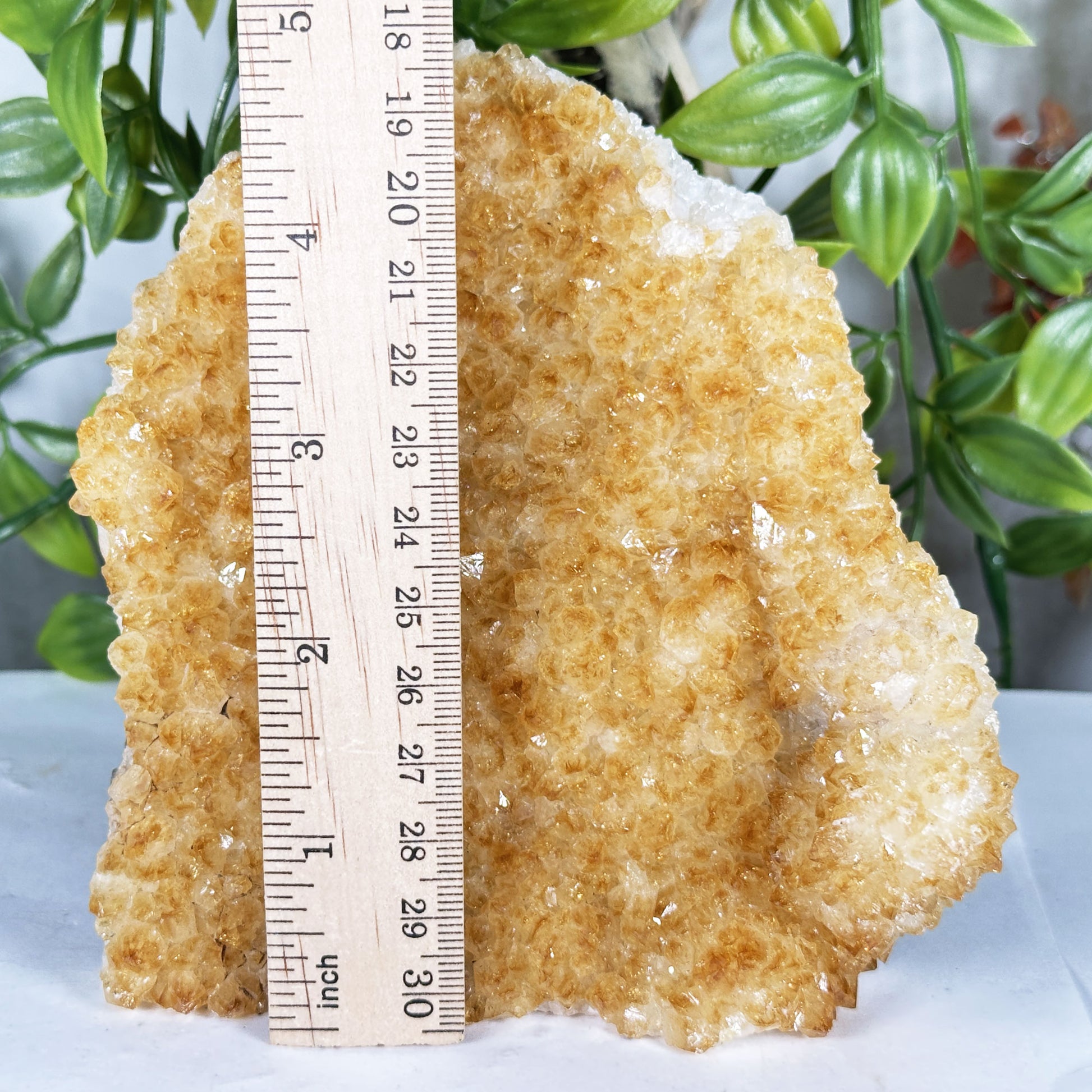 Citrine Crystal Geode - Gem Avenue Retail