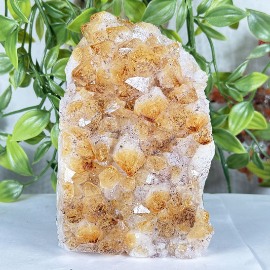 Citrine Crystal Geode - Gem Avenue Retail