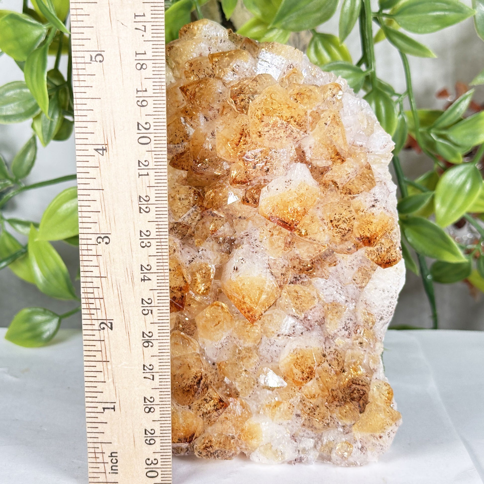 Citrine Crystal Geode - Gem Avenue Retail