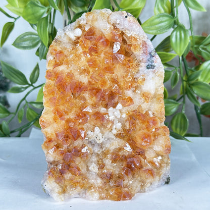 Citrine Crystal Geode - Gem Avenue Retail