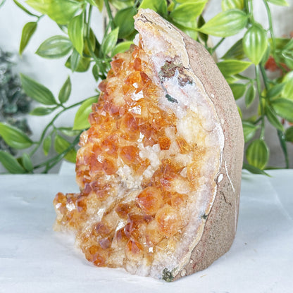 Citrine Crystal Geode - Gem Avenue Retail