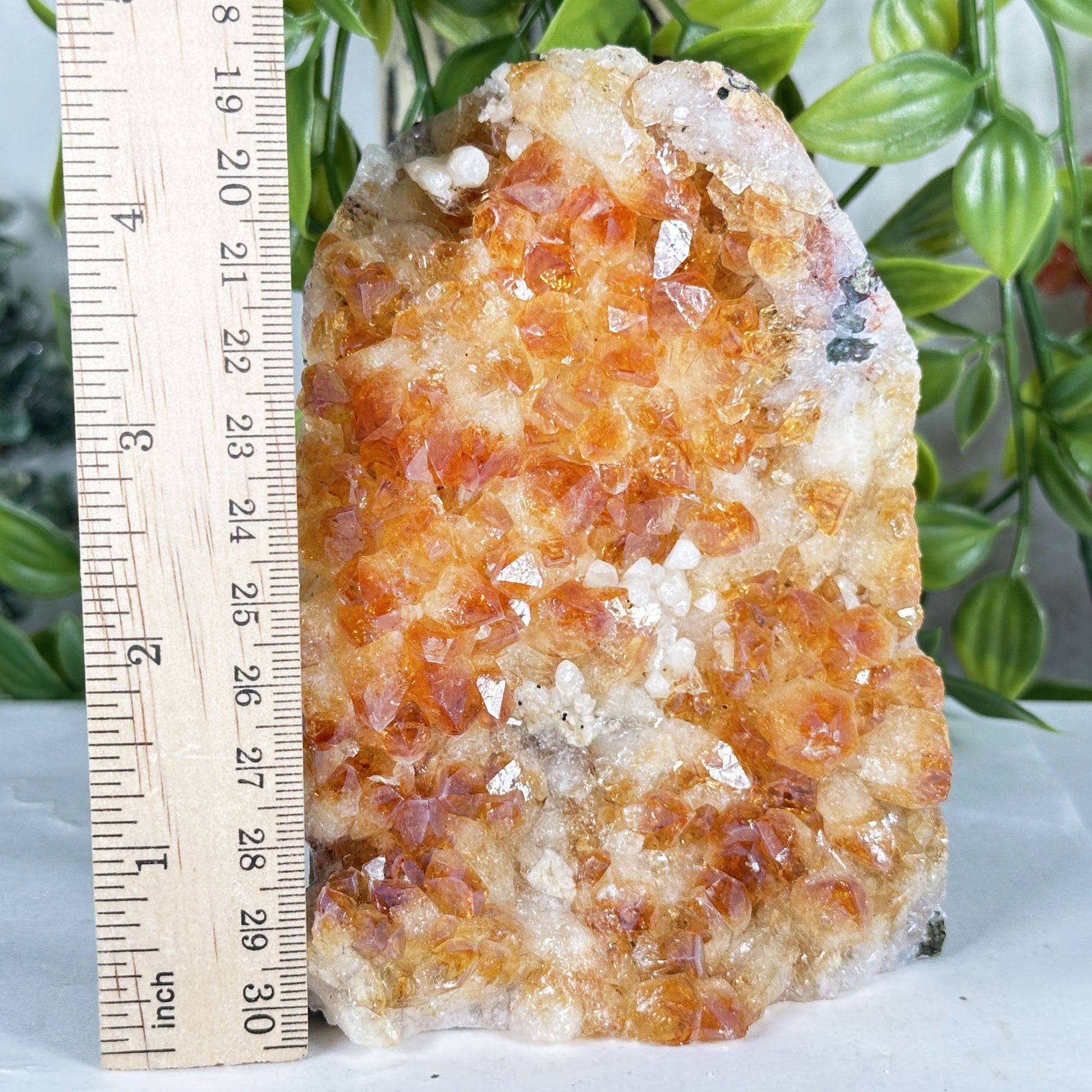 Citrine Crystal Geode - Gem Avenue Retail