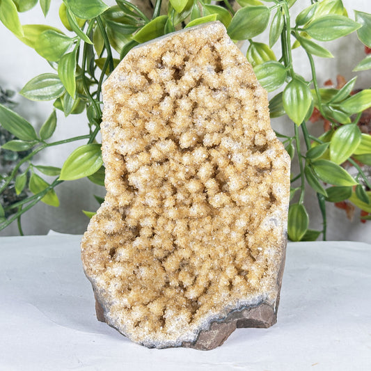 Natural Citrine Druzy Geode 5.5" Polished Crystal Cluster Standing Display Specimen Home Decor
