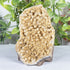 Natural Citrine Druzy Geode 5.5" Polished Crystal Cluster Standing Display Specimen Home Decor