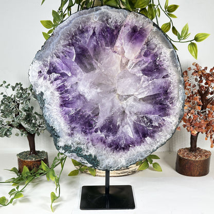 Amethyst Geode Crystal - Gem Avenue Retail