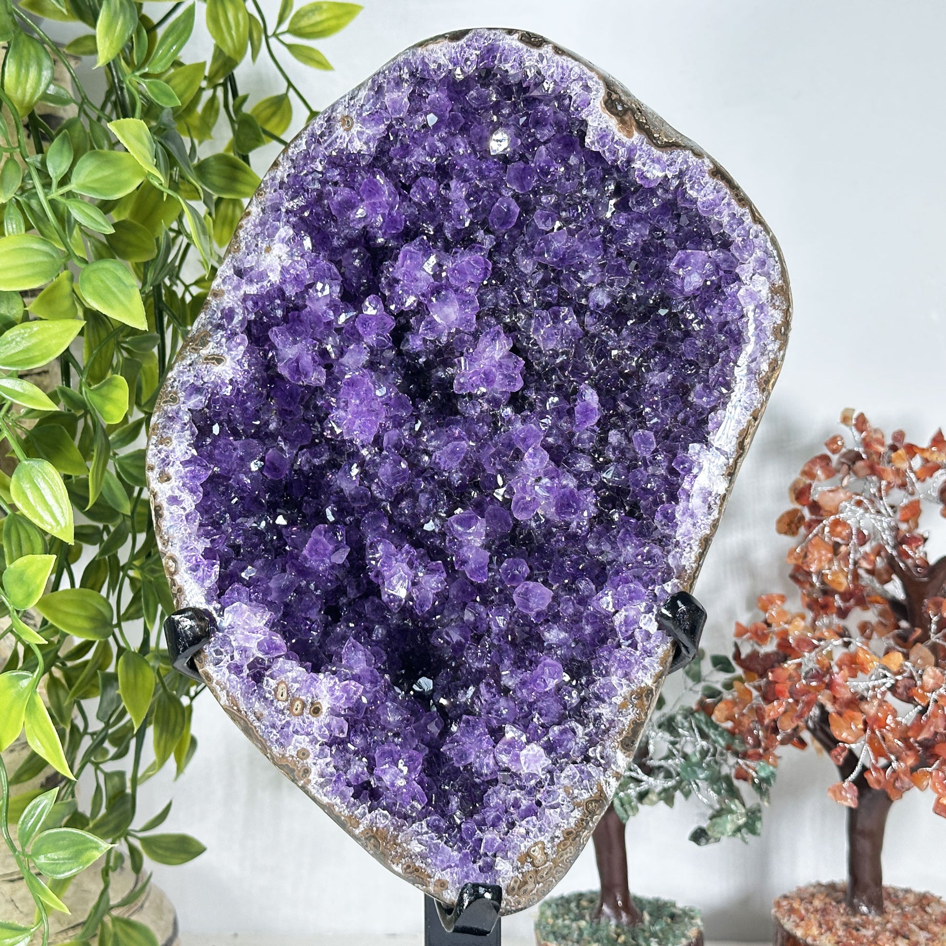 Amethyst Crystal Geode - Gem Avenue Retail