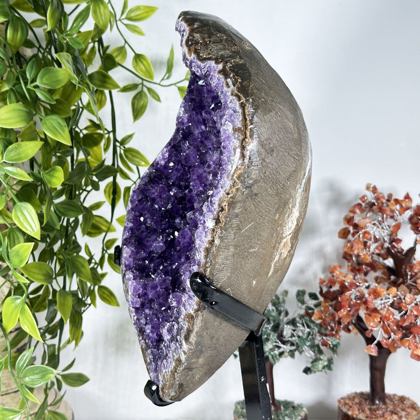 Amethyst Crystal Geode - Gem Avenue Retail