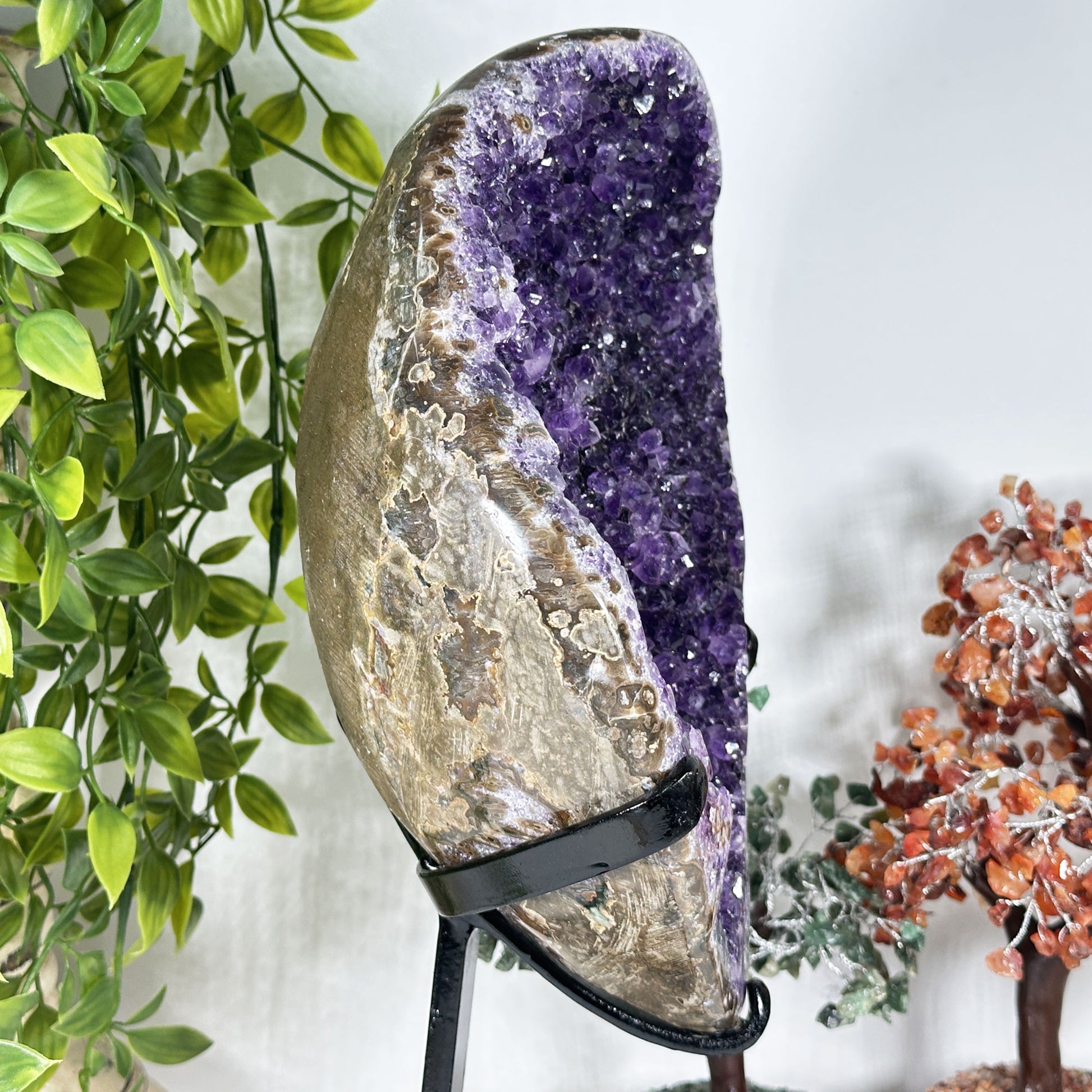 Amethyst Crystal Geode - Gem Avenue Retail