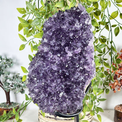 Amethyst Crystal Geode - Gem Avenue Retail